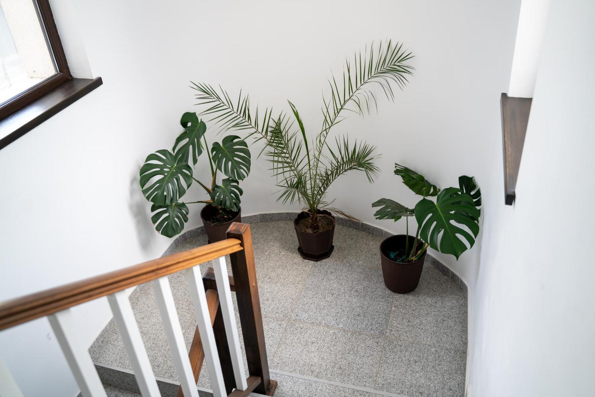 Din Natura Varbilau المظهر الخارجي الصورة